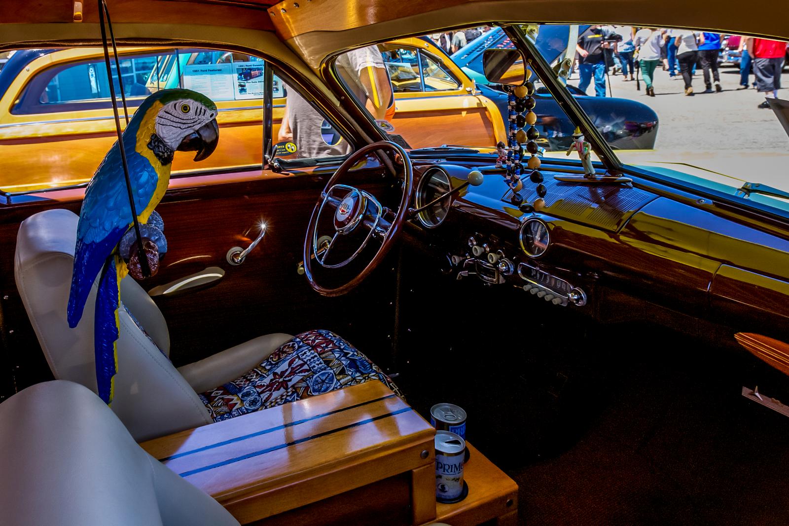 Parrot Interior of a Wood Car. | Buy this image