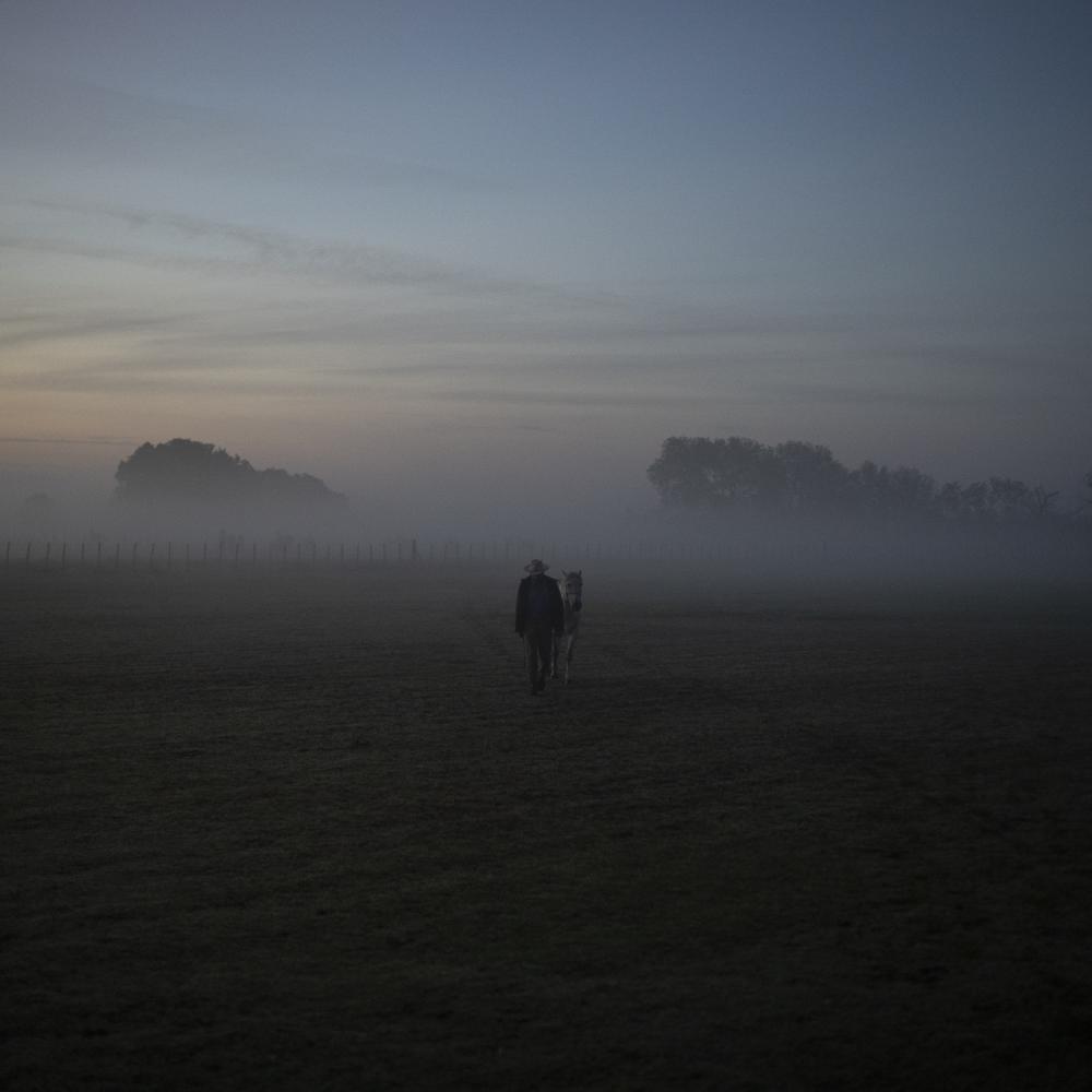 Camargue Climate Change - Manadier Jean-Claude Groul fetches his horse at dawn to...