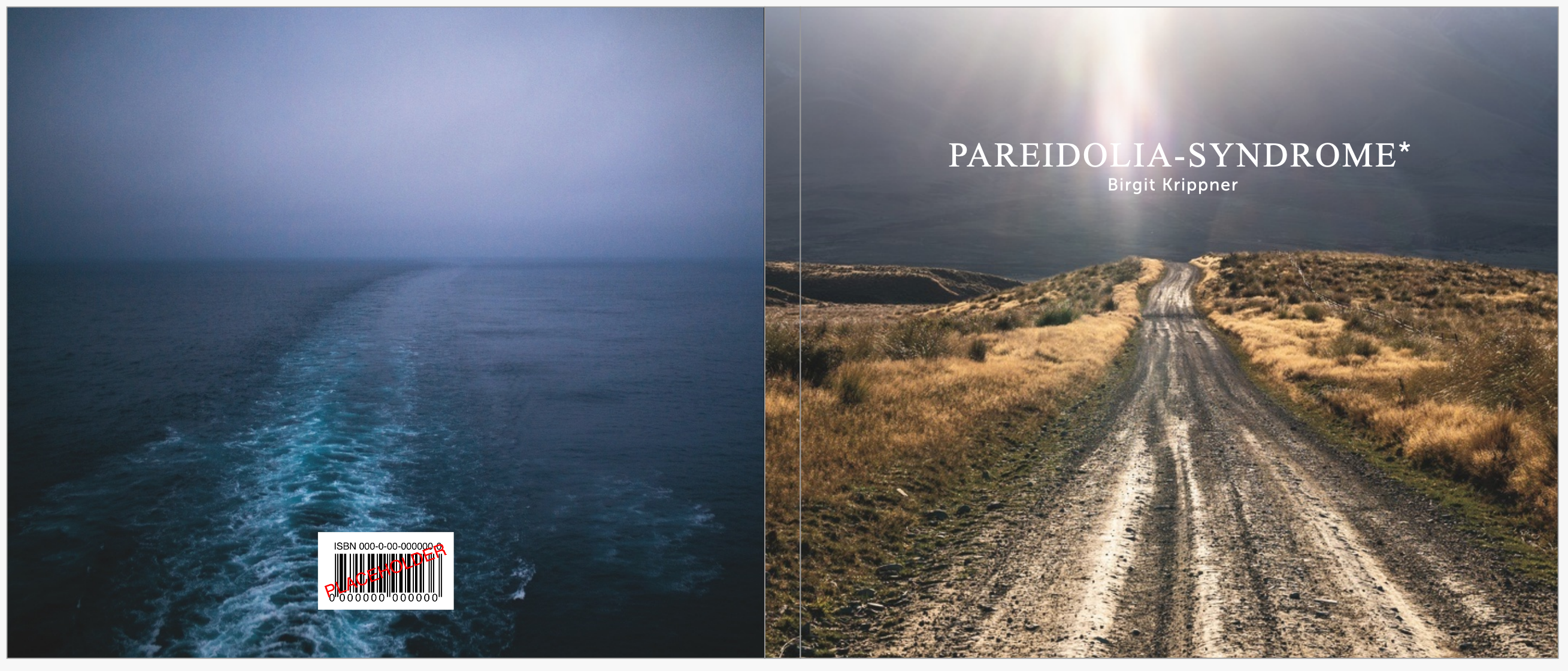 PAREIDOLIA-SYNDROME, a photo book project