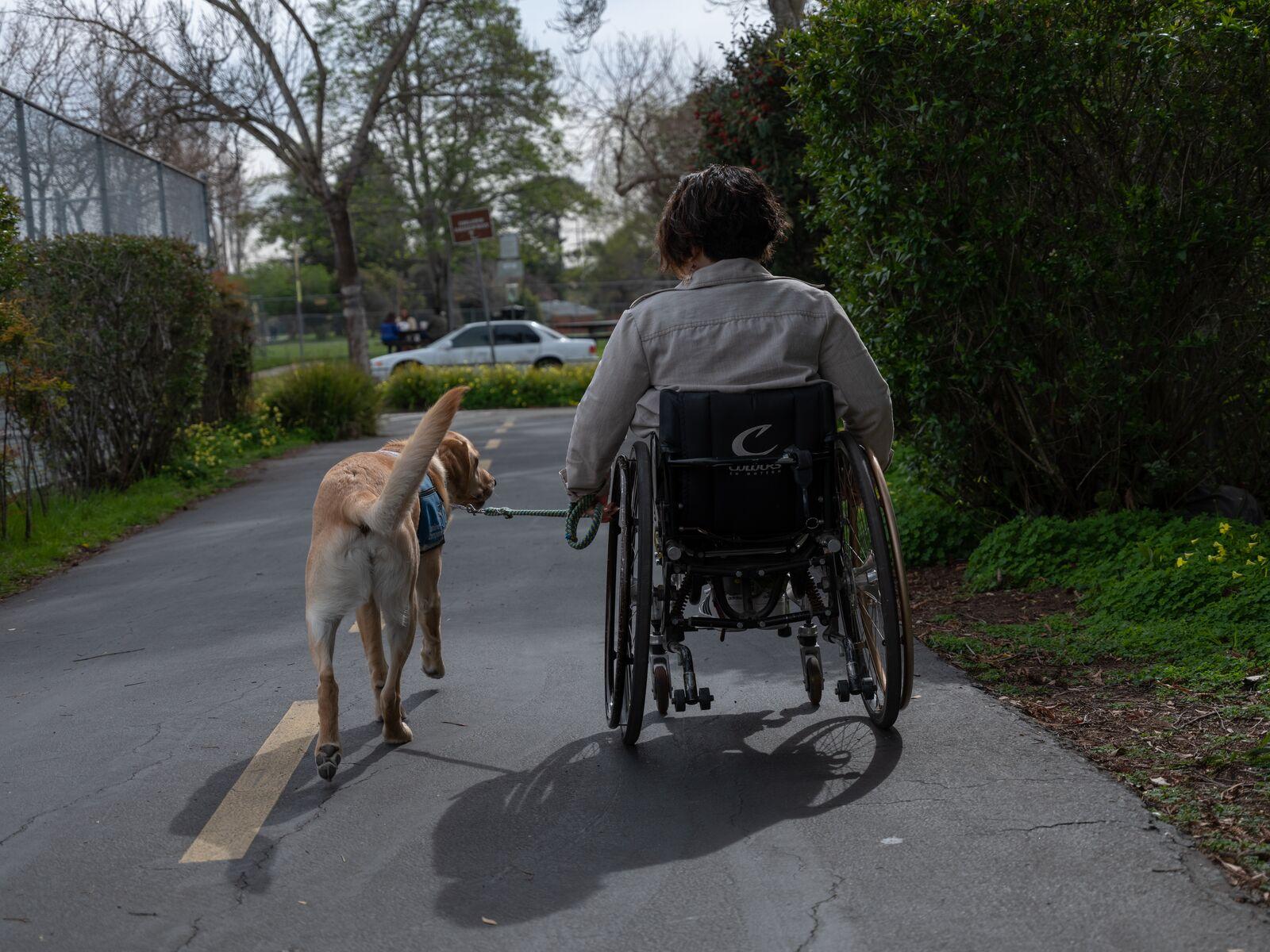 Image from Around Berkeley (2022-2025) - The culture wars of the Protected bike lane on Hopkins