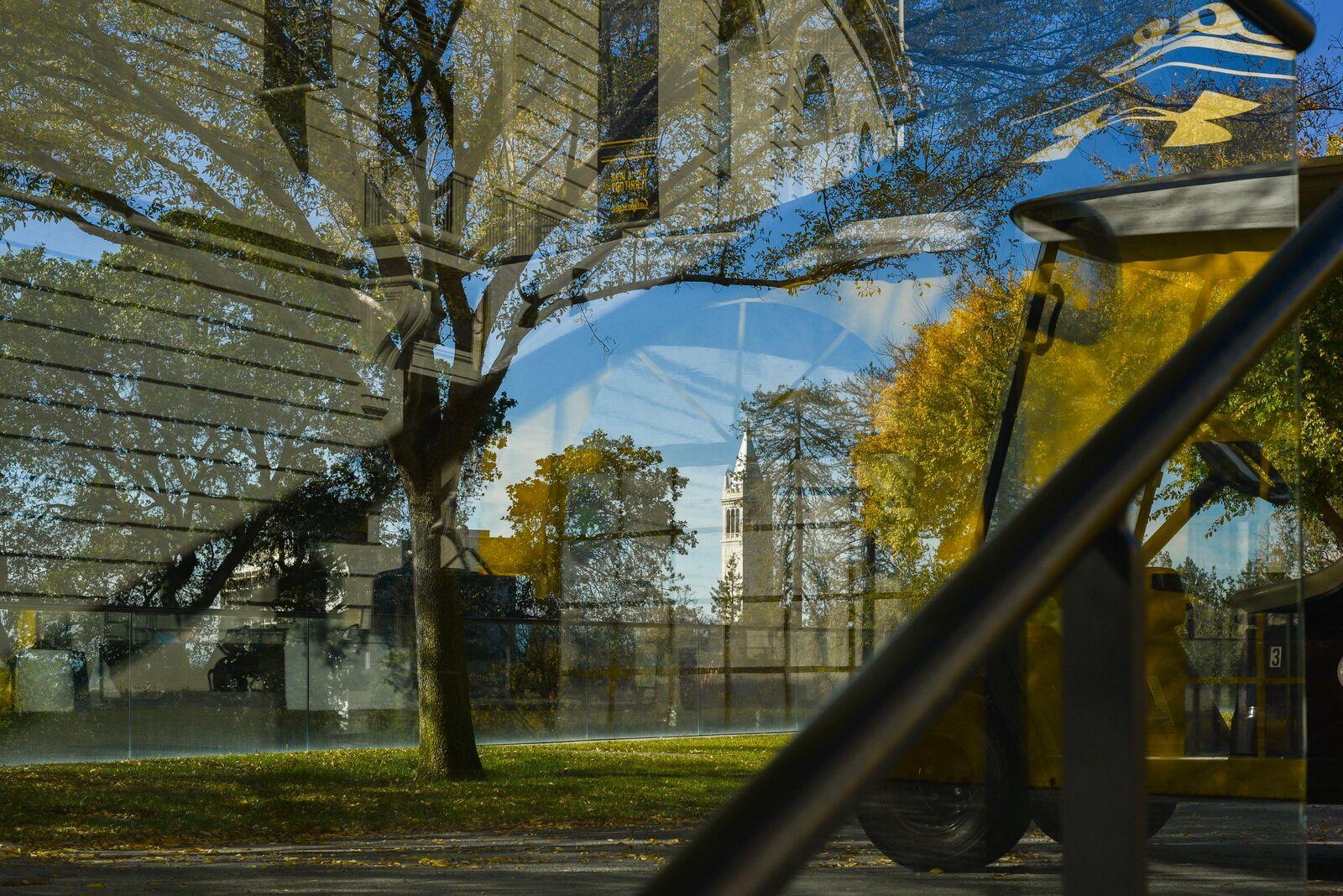 Image from Around Berkeley (2022-2025) - Credit: Ximena Natera, Berkeleyside/CatchLight