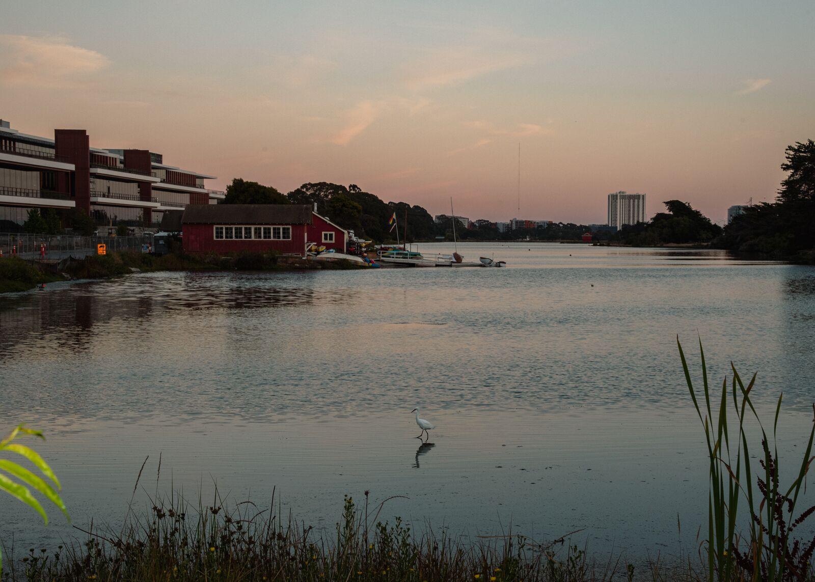 Image from Around Berkeley (2022-2025) - Aquatic Park, the West Berkeley public park along...