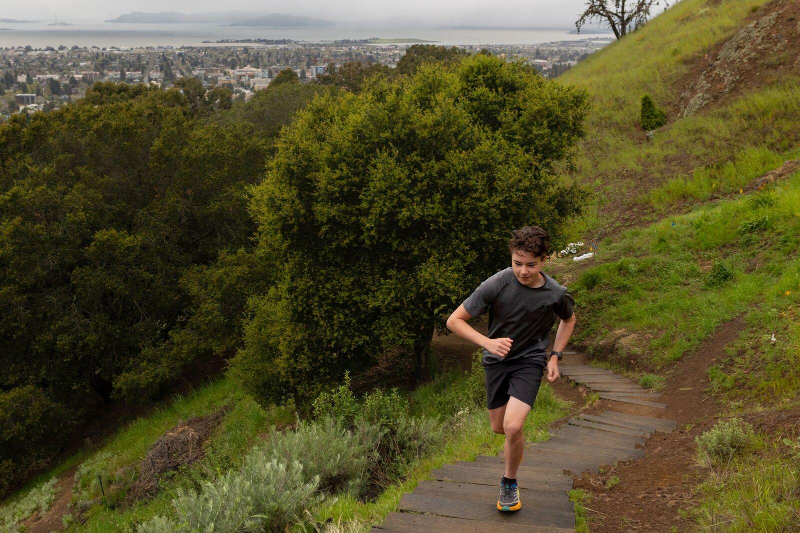 Image from Around Berkeley (2022-2025) - Jacob Segr