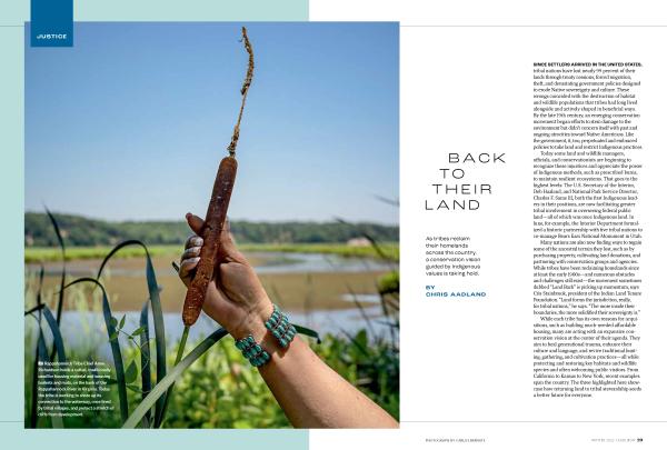 Image from Tearsheets - December 2023 Issue - National Audubon Society