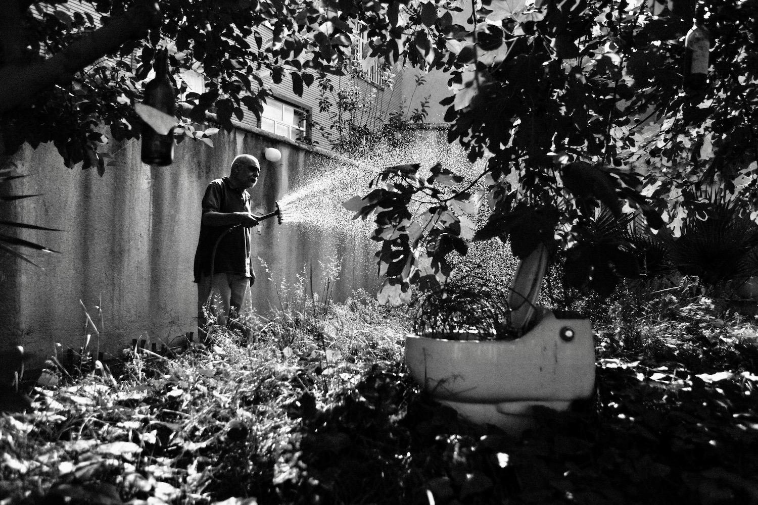 No Regret -   Kamran watering his garden. Symbolically, he installed...