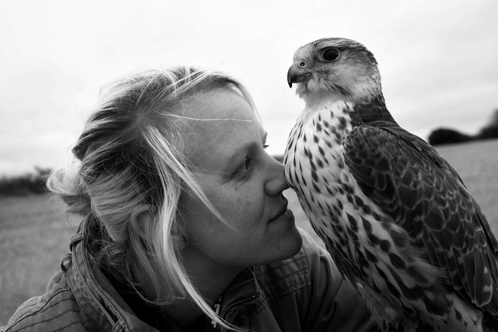 Hidden Boarders - Louse with her beloved falcon.