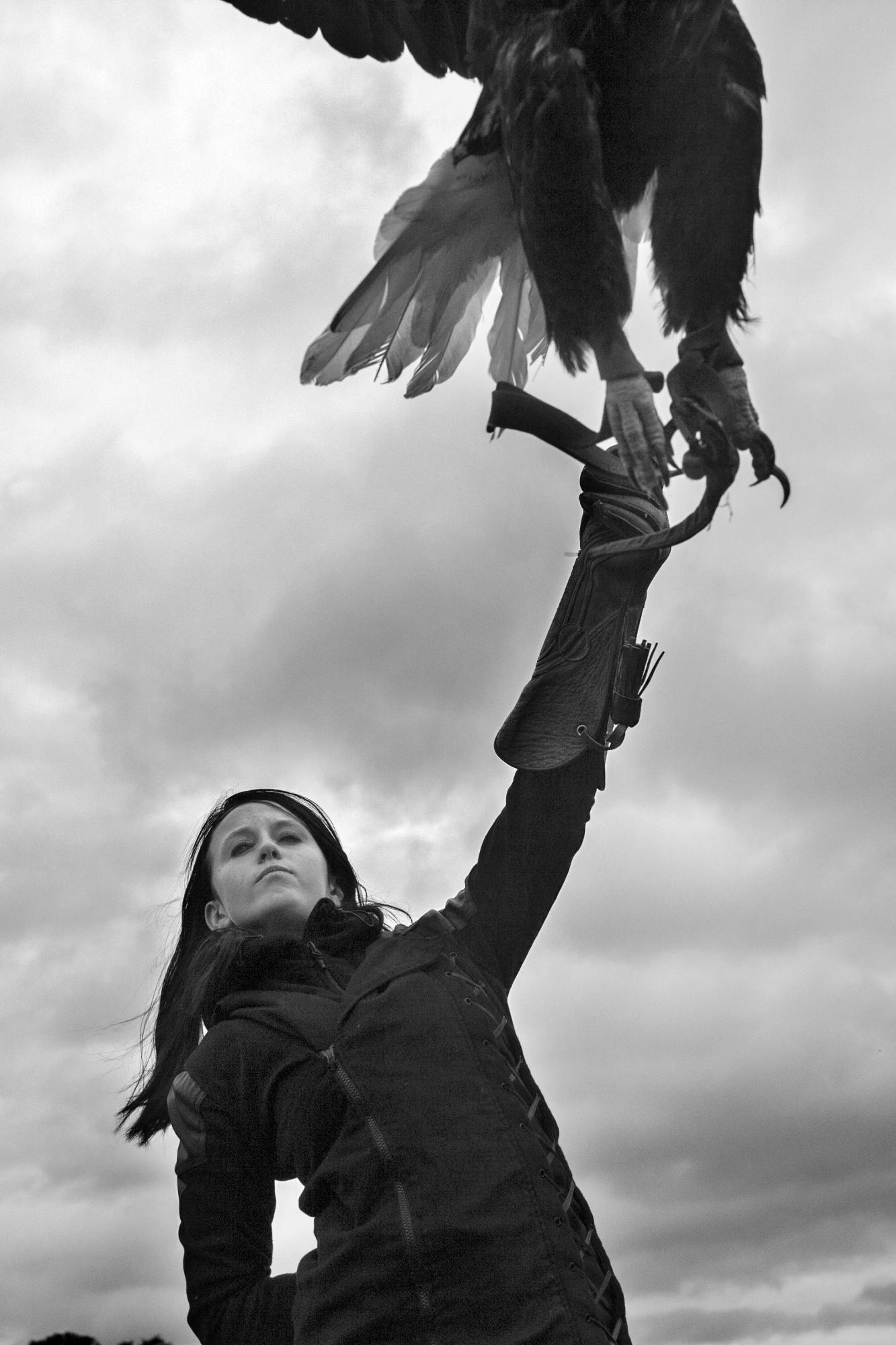 Free Fall - Young girl flying the European Bald Eagle in Falkecenter.
