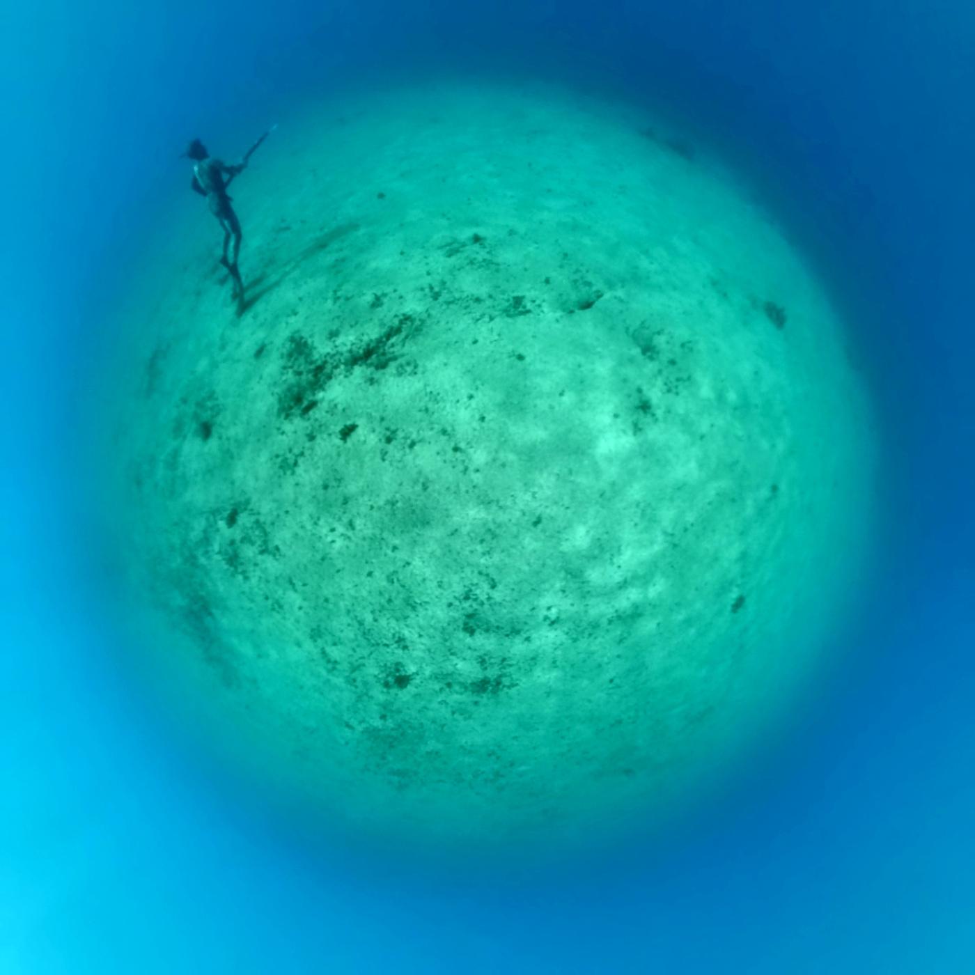 Free diver fishing in the depths of Cuban coasts.