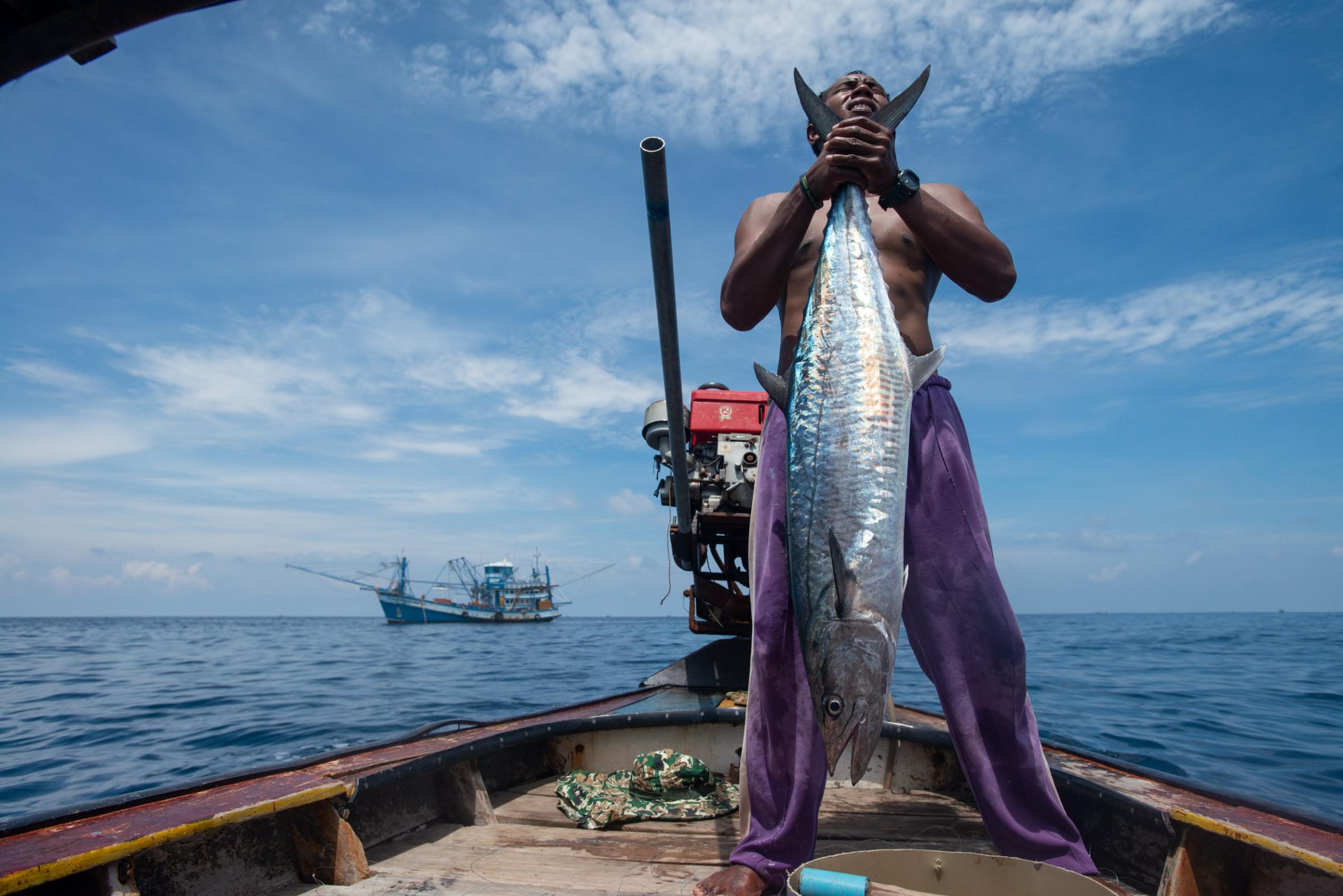 Lipe Island - A sea gypsy fisher carries the caught mackerel weighing...