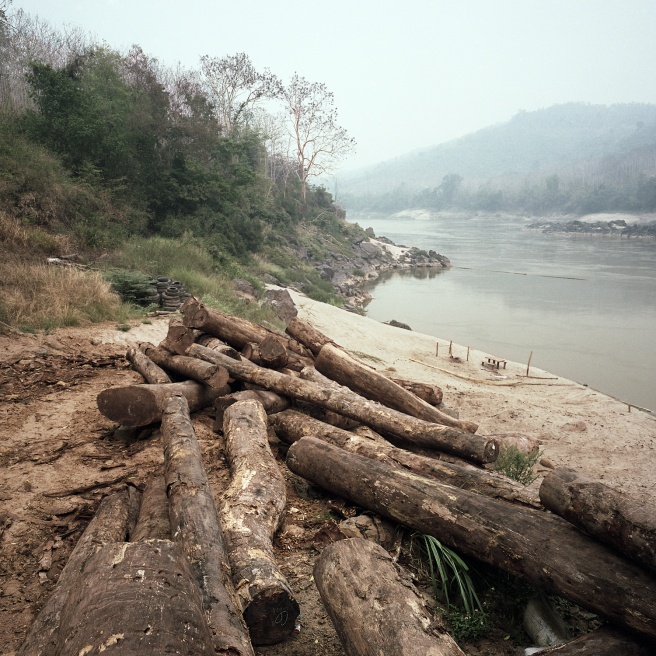 Loggers in Laos make use of the...rom remote areas of the forest.