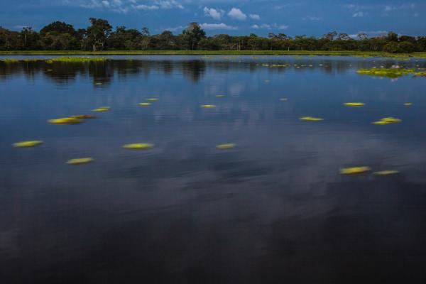 Colombian Indigenous Preserve Identity Across Spiritual Practices