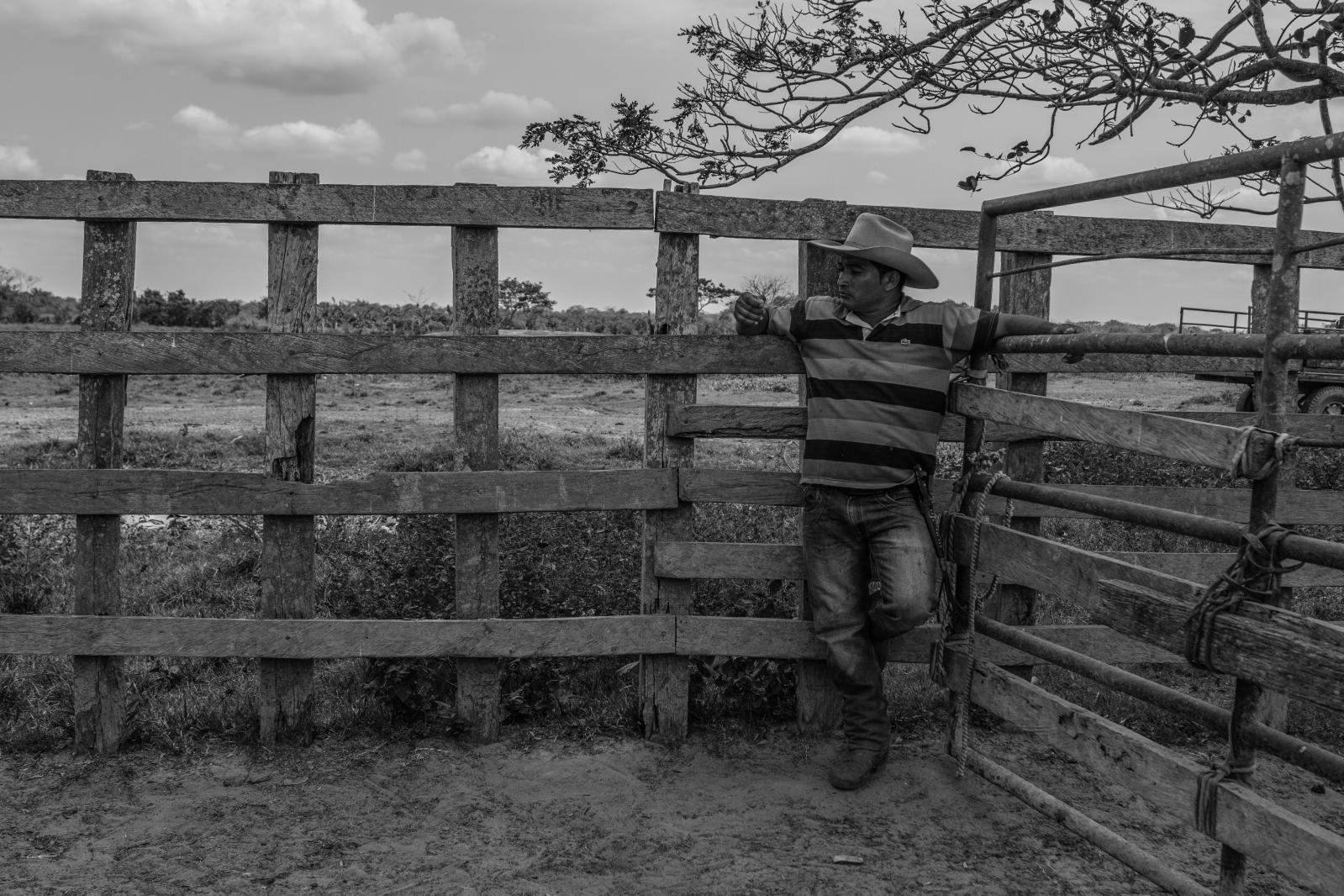 Llaneros Preserve Centuries-old Cattle Ranching Tradition near Venezuelan Border