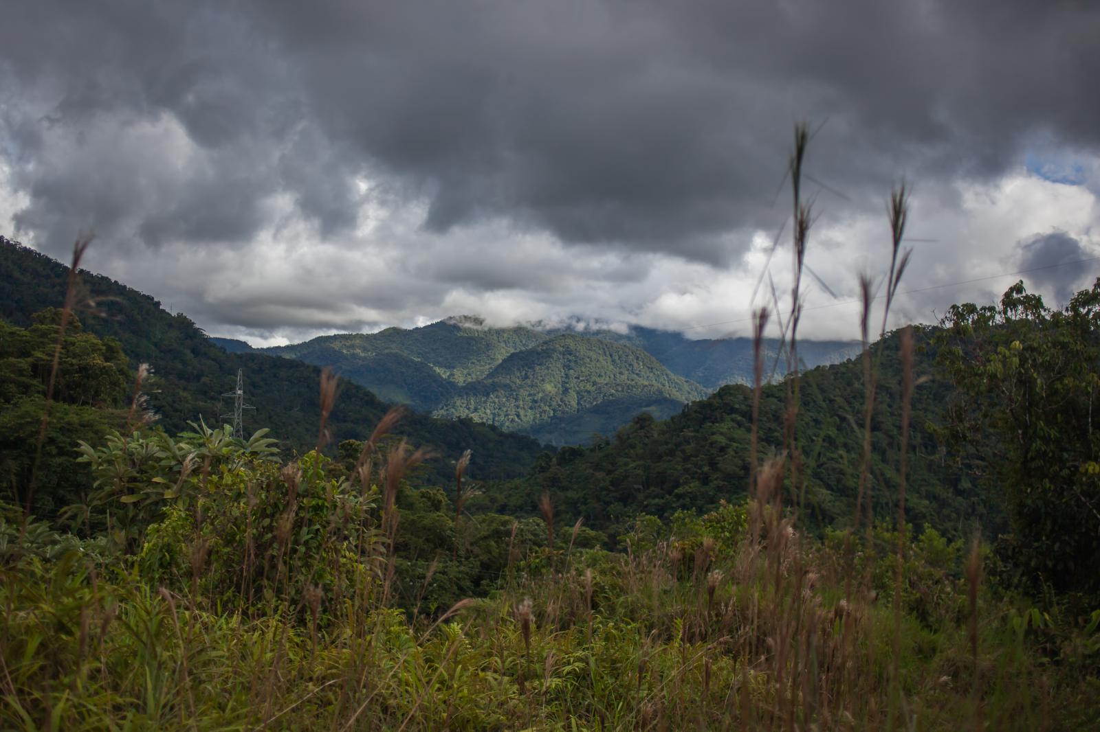 The Embera had to abandon their...lking back to their home lands.