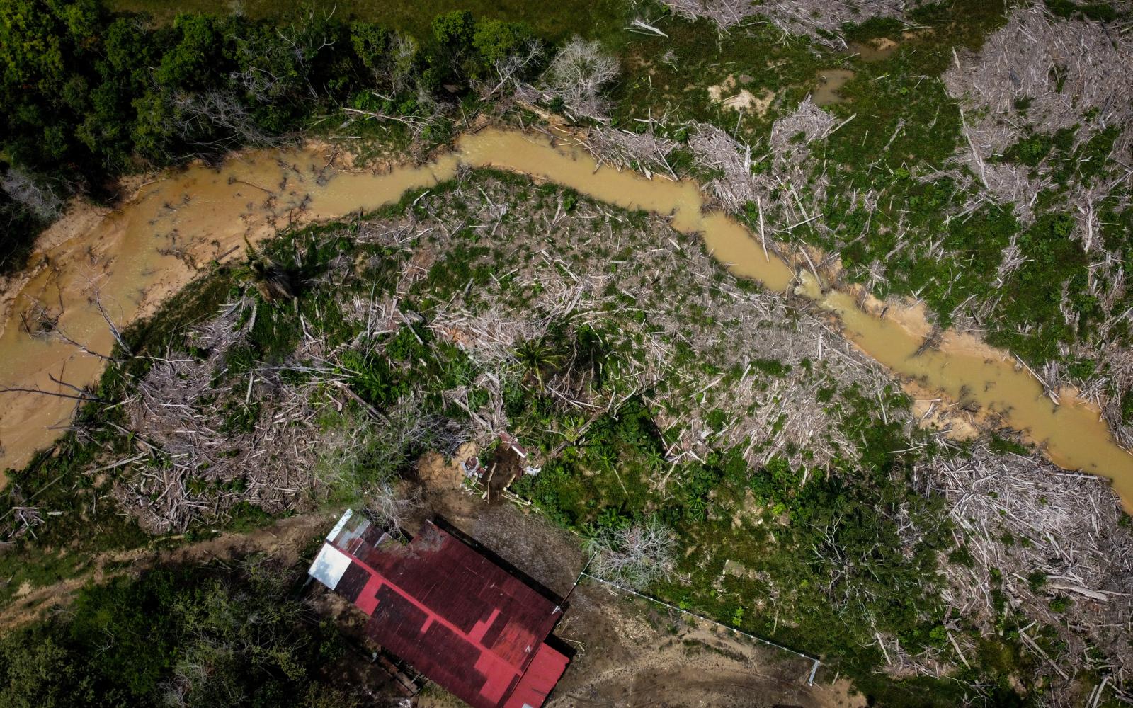 CAQUETA, COLOMBIA - MARCH 4: An...ntal harm and deadly conflict. 