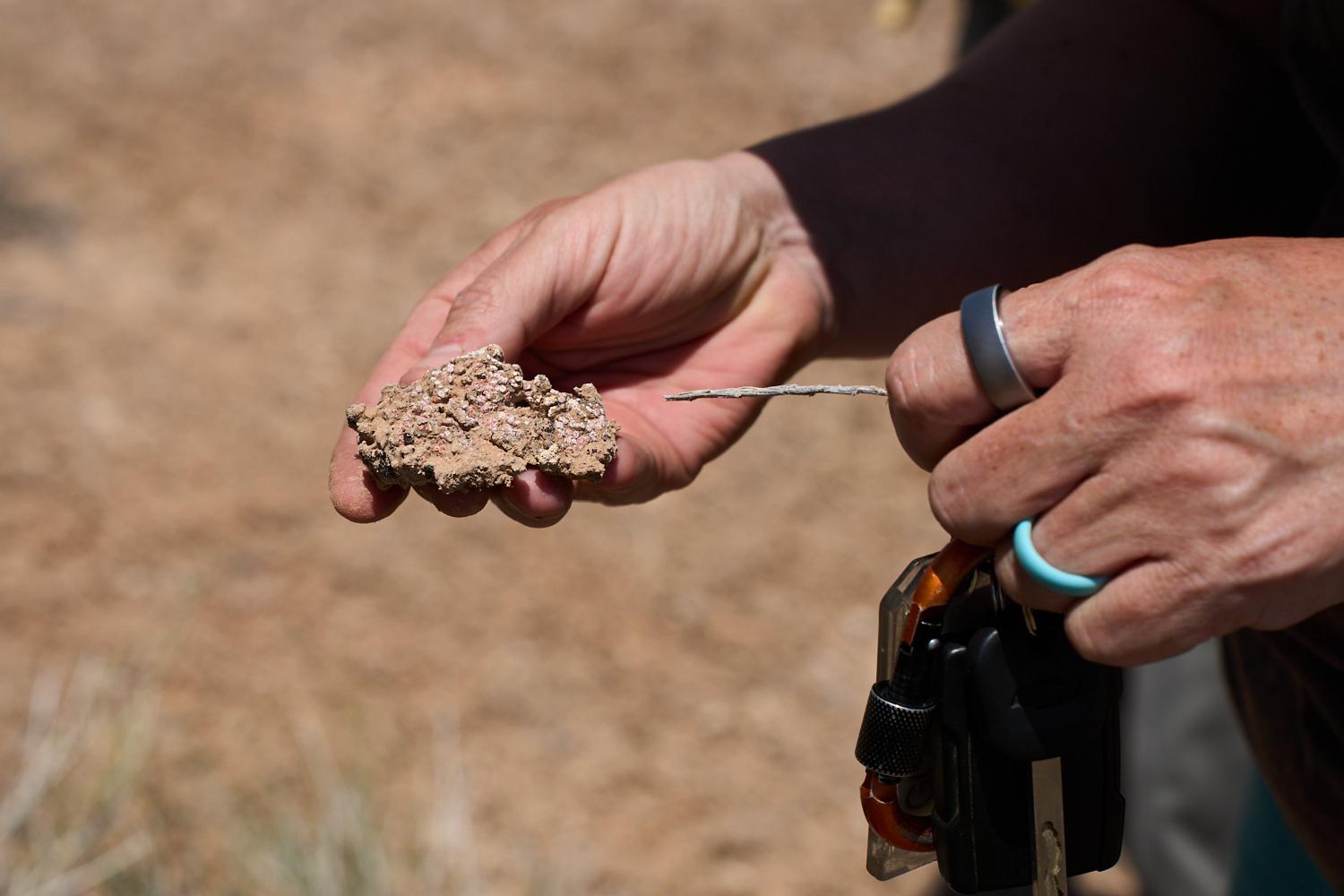 Sasha Reed holds a piece of fra... sandy soil of the Utah desert.