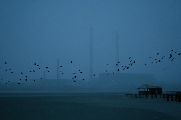 Image from The New Symphony of Donbas - Birds fly over the reserve of the Kurakhove Power Plant...