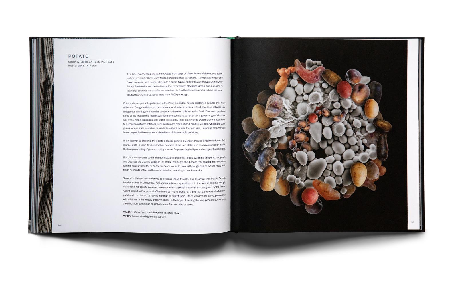 Food Planet Future: The Art of Turning Food and Climate Perils Into Possibilities