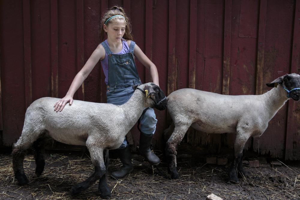 Mackenzie practices putting on a halter on her sheep Gunter and Rosita at her father&#39;s house. Mackenzie and her older brother Harkin...