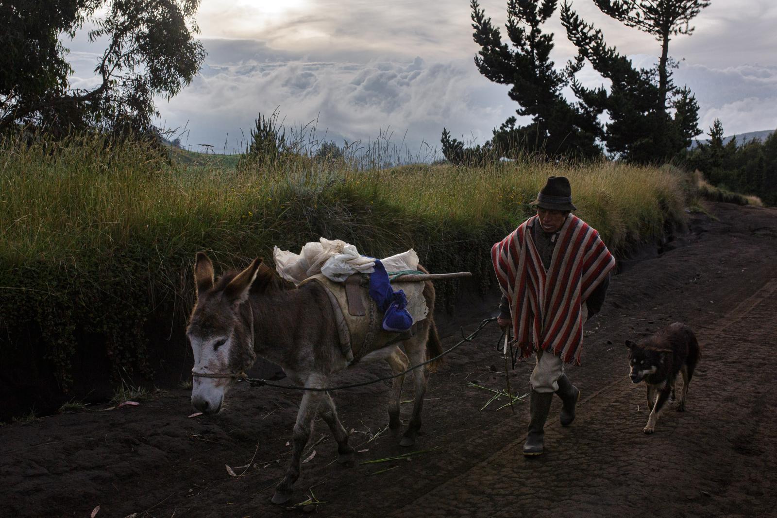 Juan Ushca (49) climbs early on...&quot;. Chimborazo-Ecuador.