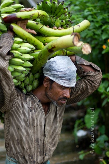 Banana Labour