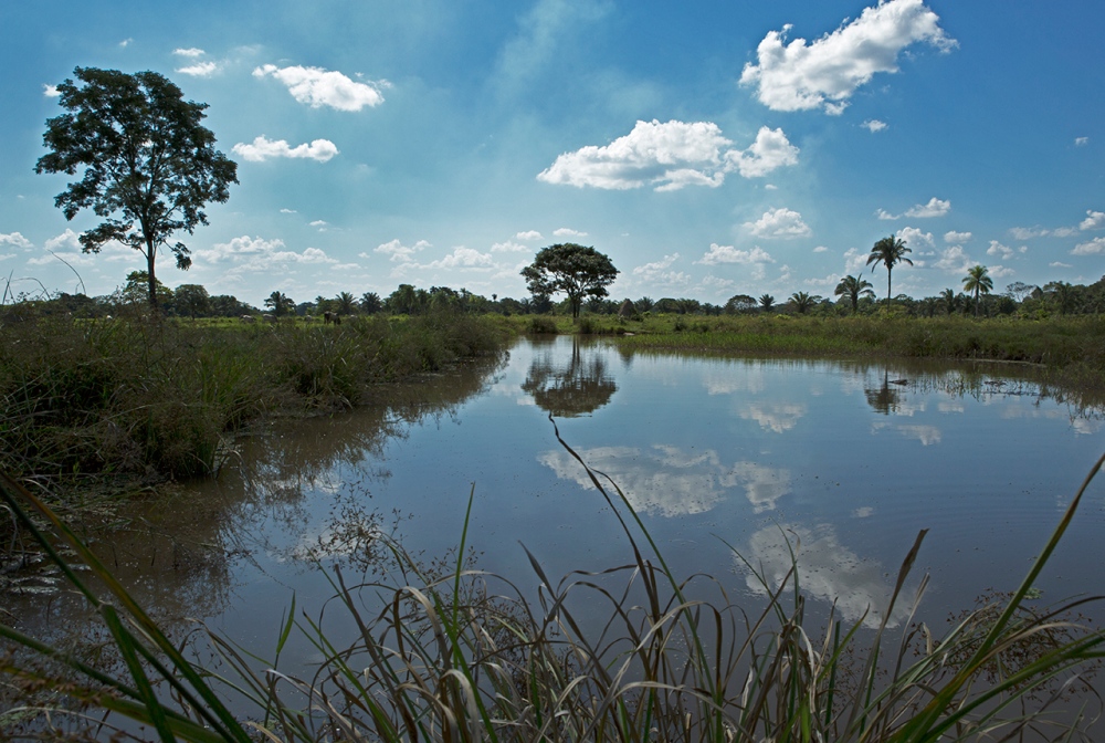 The Mojos Project -  Water is a predominant feature of the Beni area. 