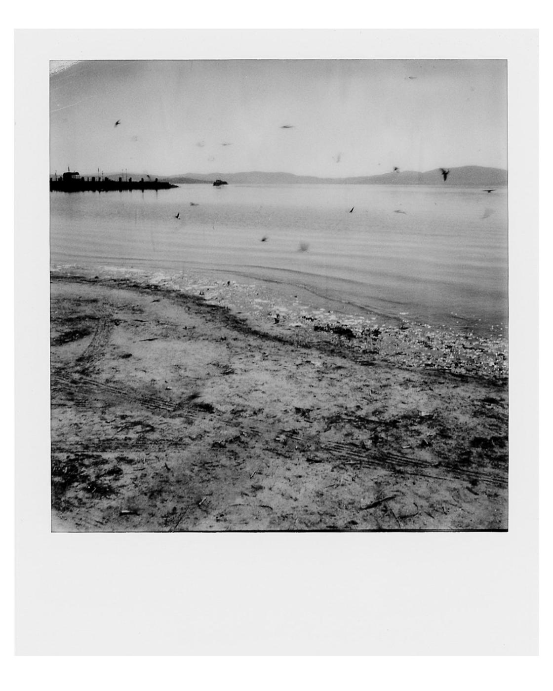 About A Dream Of Last Summer
