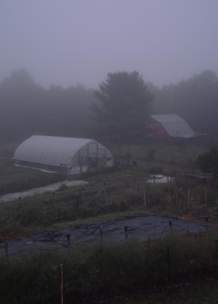 A Spirit of Abundance for Commonweal Magazine - The gardens, barn and hoop house at dawn.