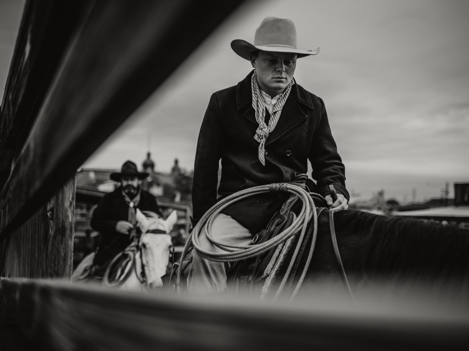 Cattle Drive | Buy this image