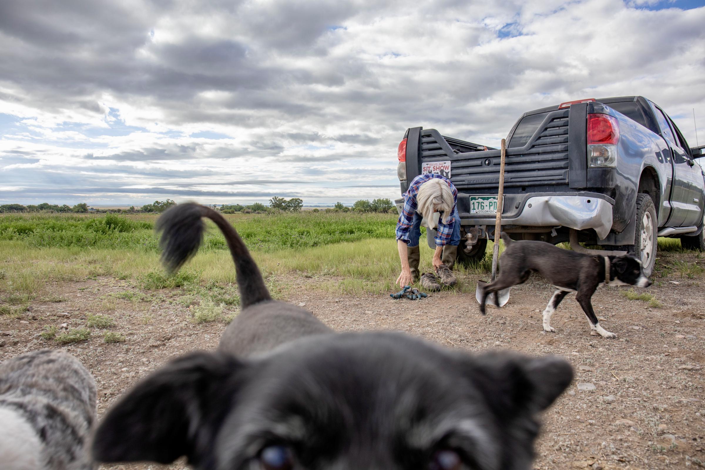 Crisis on the Rio Grande - Schoonover and her dogs preparing to care for the pasture. (Photo by Diana Cervantes for Source NM)