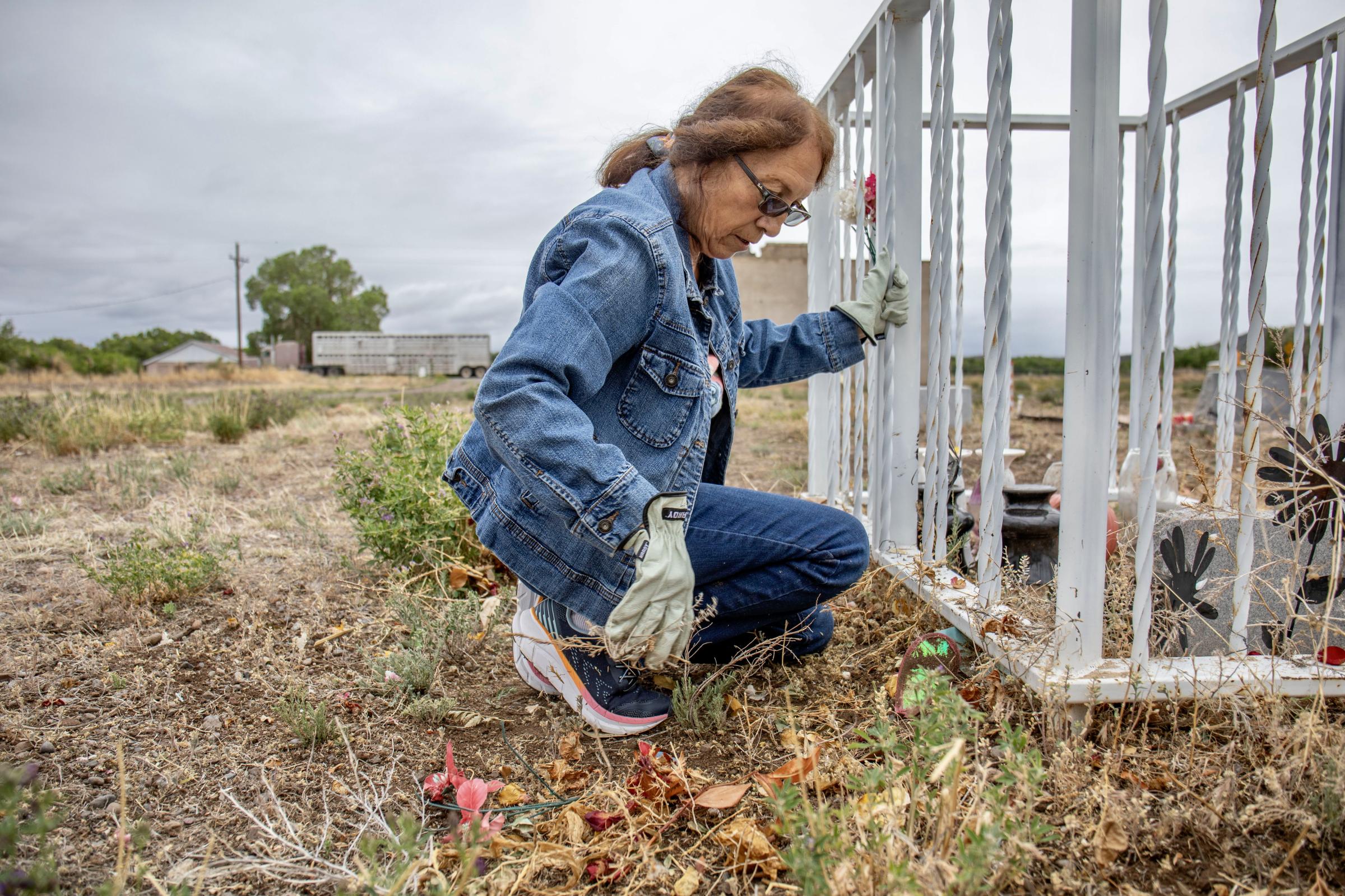 Crisis on the Rio Grande - Lucilla Cisneros pulls tumbleweeds from the cage around the older graves in the churchyard....