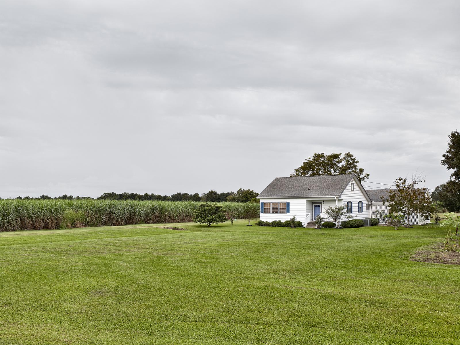  House by the Canefields, LA &copy; Matthew Portch