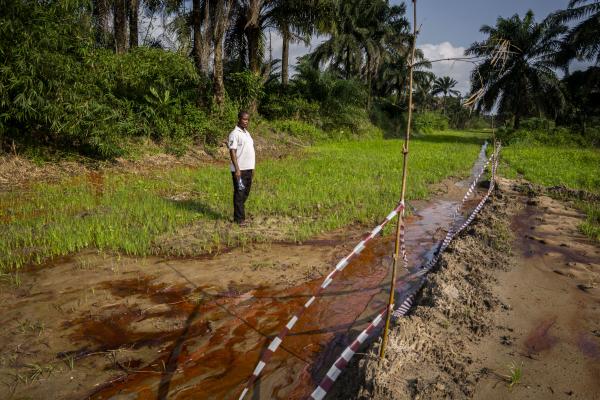 Image from Unusual Niger Delta - A middle-aged man stands on his farmland which has been...