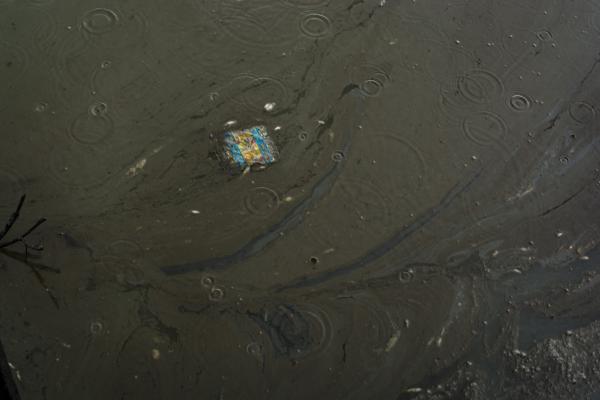 Image from Unusual Niger Delta - Oil layer on water at the bank of the river in Bodo,...