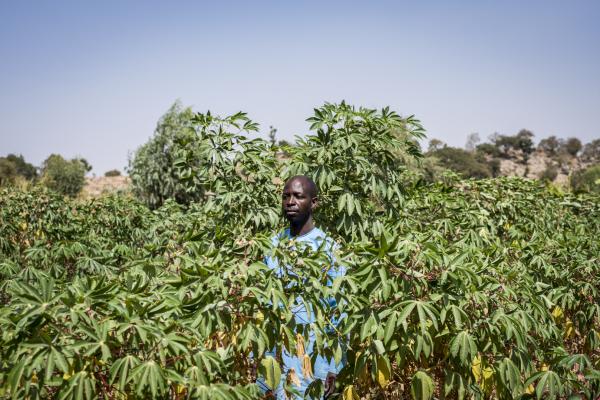 Image from The Water Collectors - Ibrahim Idrisu, 45, is a commercial farmer. He farms...