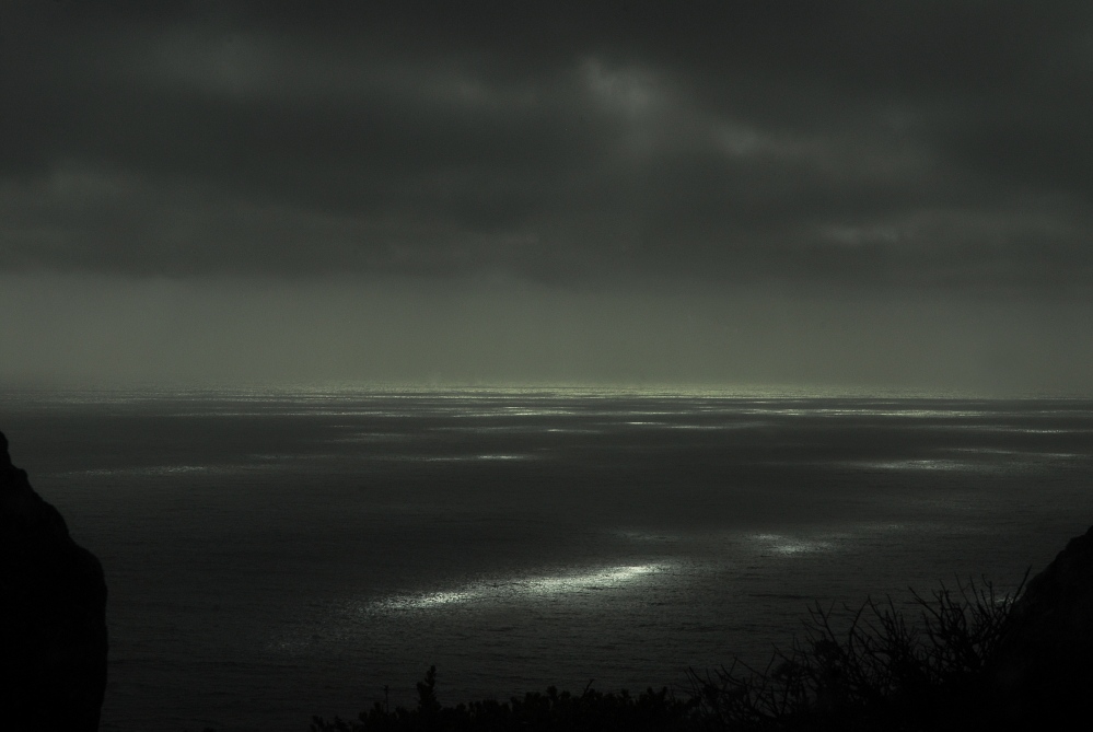 Image from An American Portrait -                    Pacific Ocean, 2010  
                  