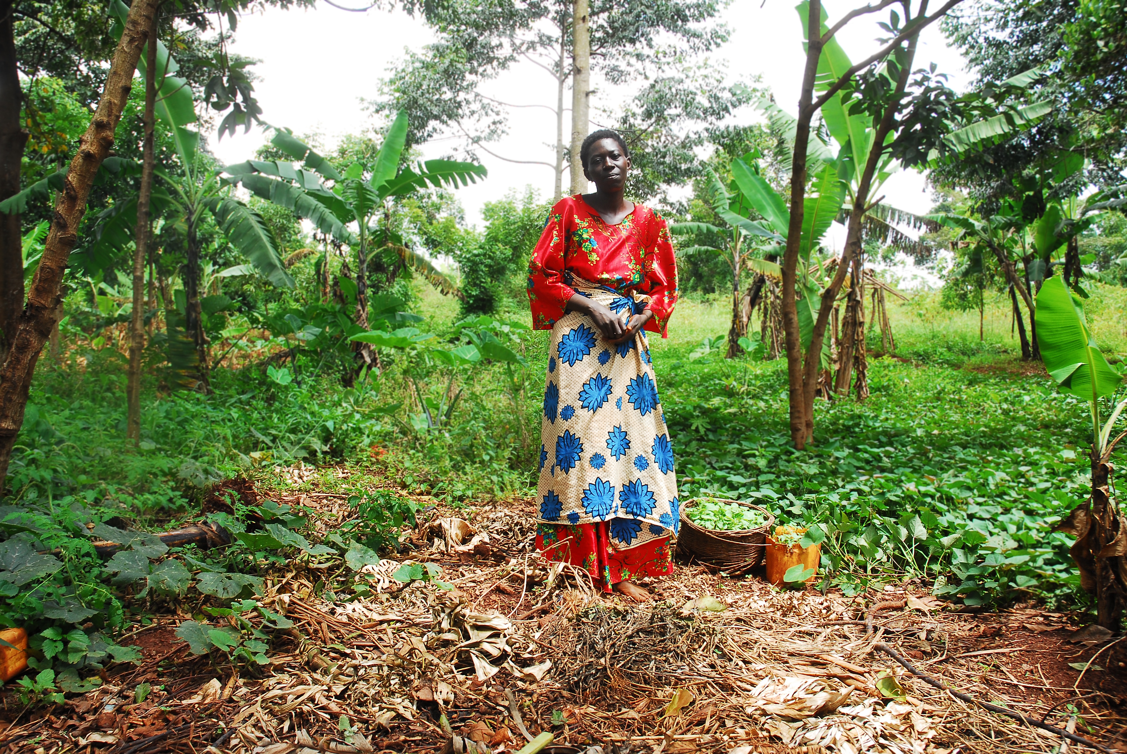 Portraits of Women at Work: Uganda