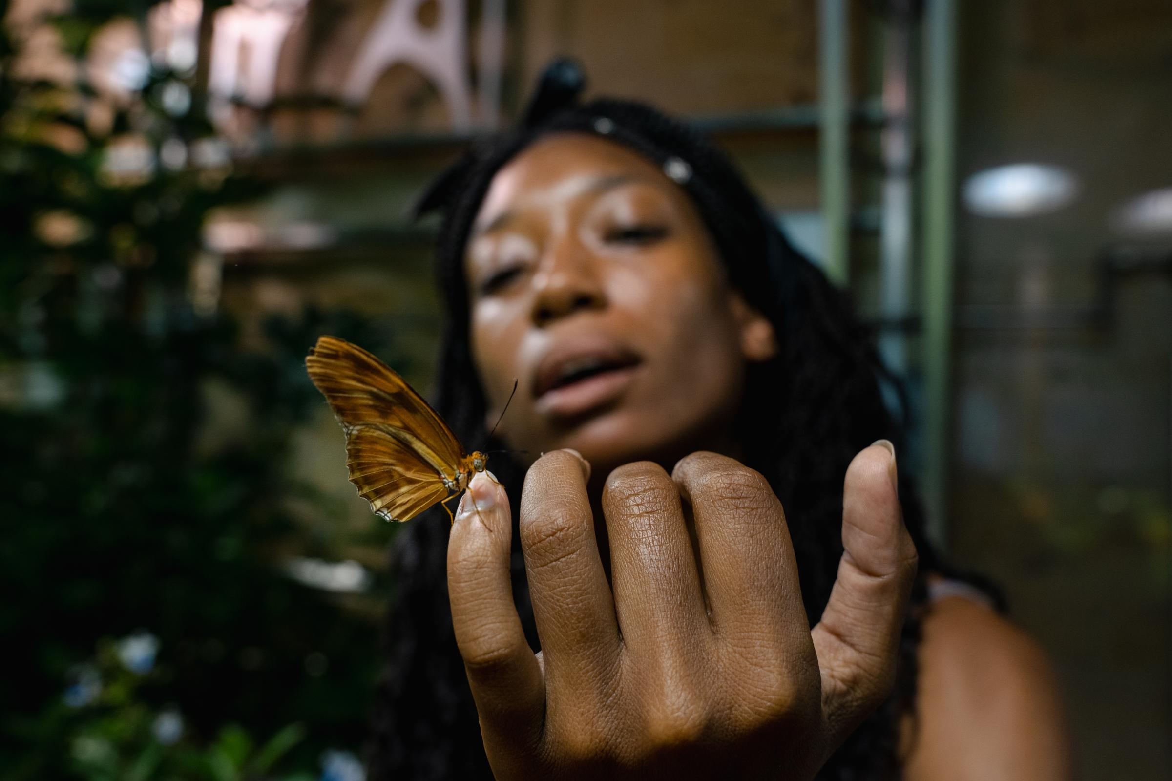 The Spike in Homelessness in US Cities Isn’t Slowing Down -  A butterfly lands on Mercedez Milling’s finger at...