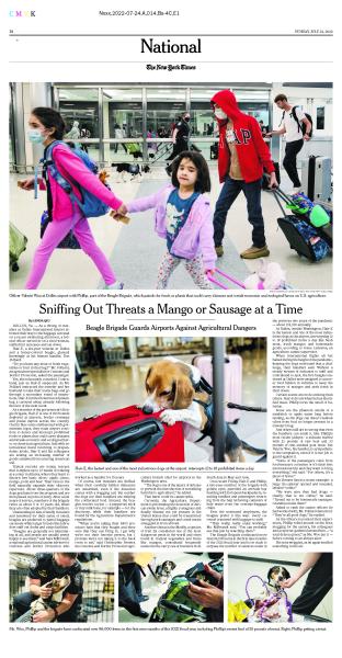 Image from Tear Sheets -    For  The New York Times       Meet the Canine Officers...