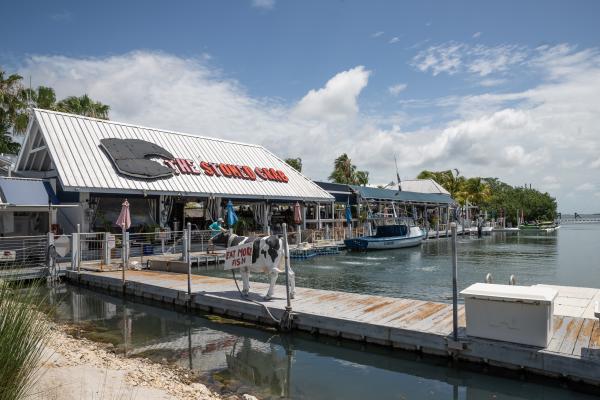 Ibis Bay Beach Resort, Key West | Buy this image