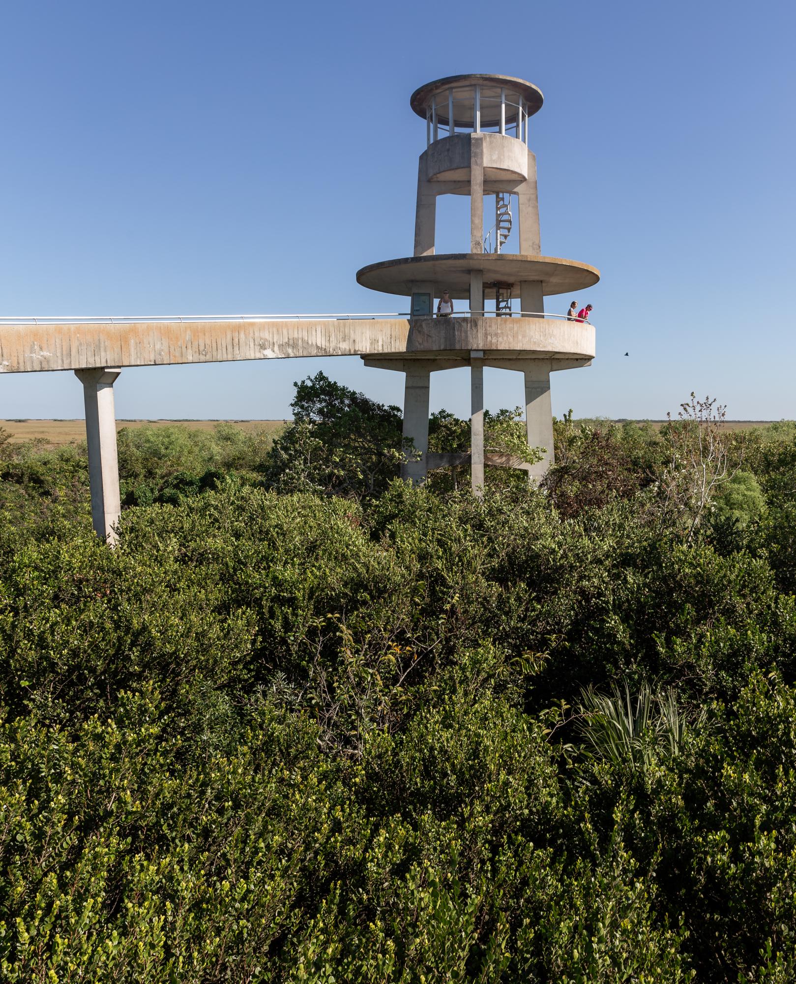 Connecting Concrete: Modernist Architecture from Havana to Miami - Shark Valley Observation Tower, 1964