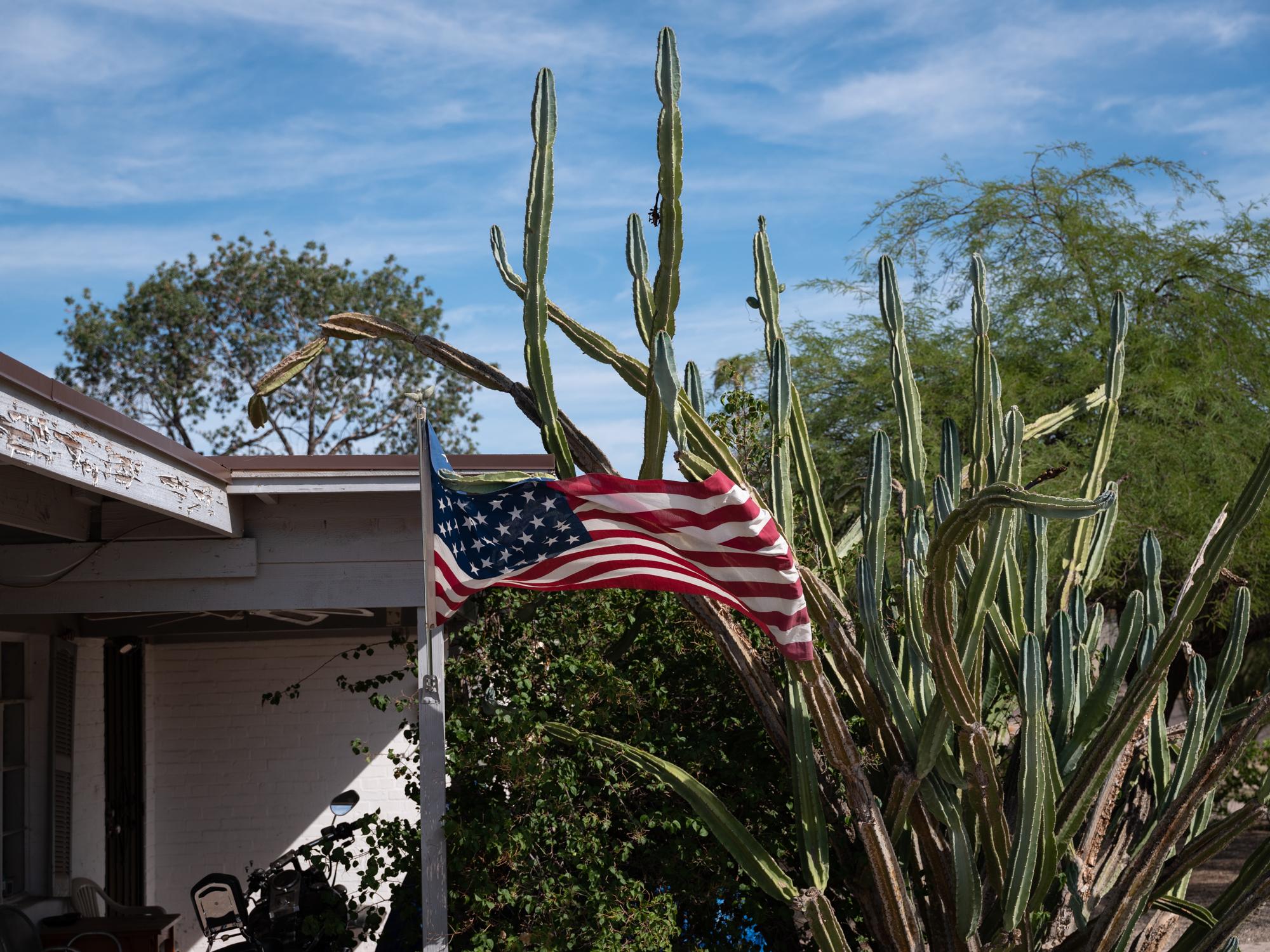 New Arizonans - HuffPost - An American flag is caught in the spines of a cactus...