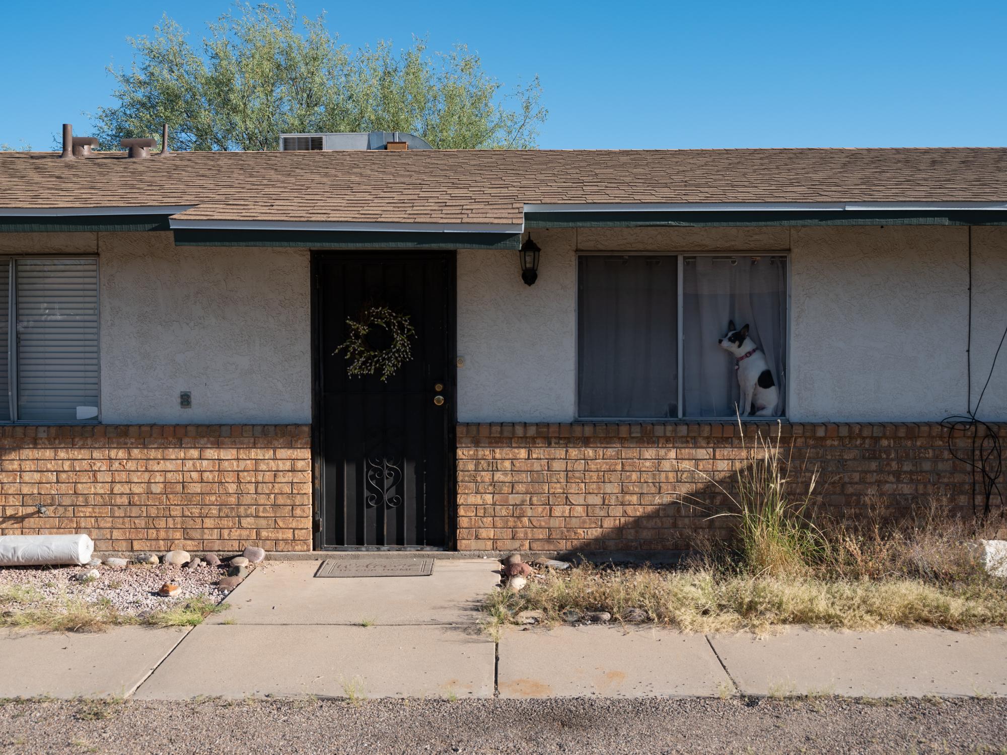 New Arizonans - HuffPost - A suspicious dog sits in a window at a home in Tucson,...