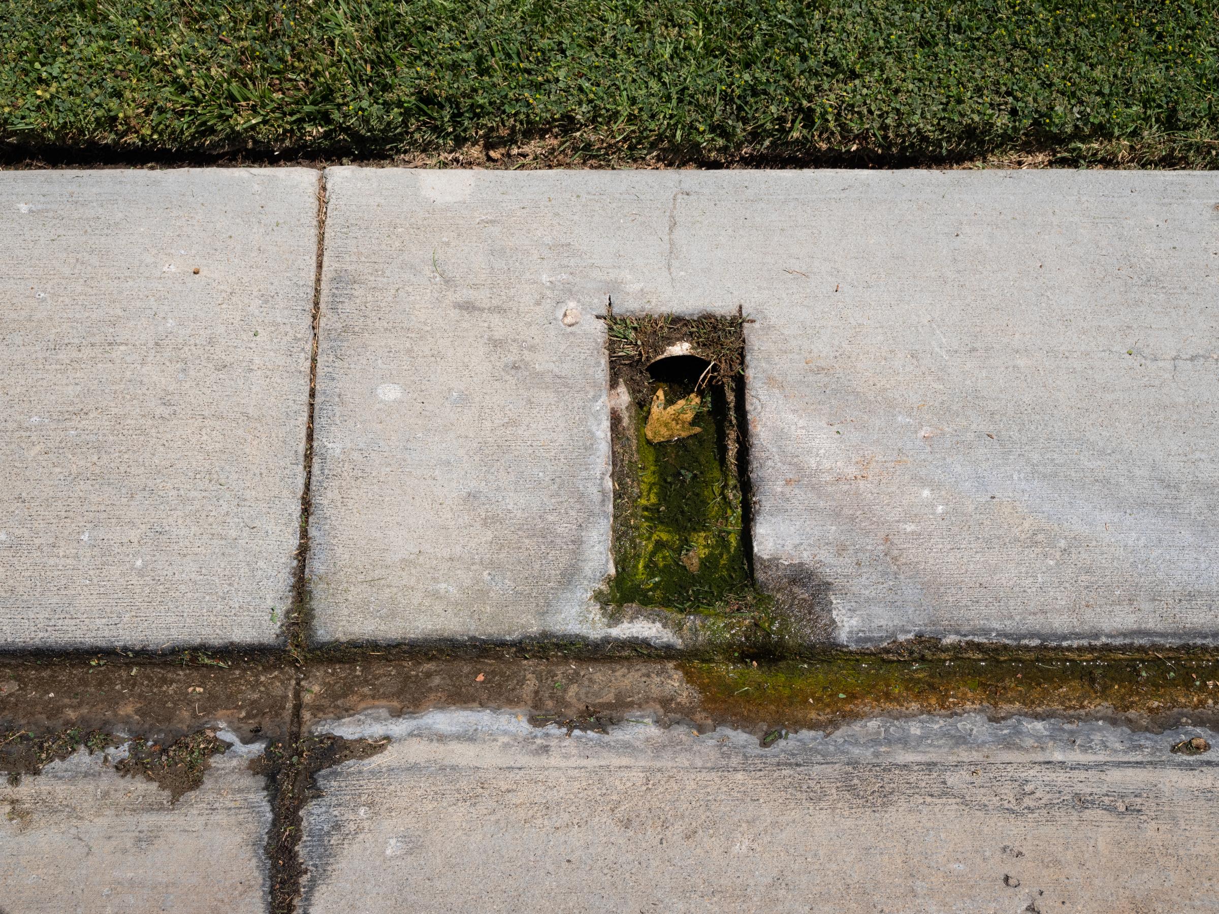 Water Cops - Wall Street Journal - Water runoff breeds algae in front of a home in The Oaks...