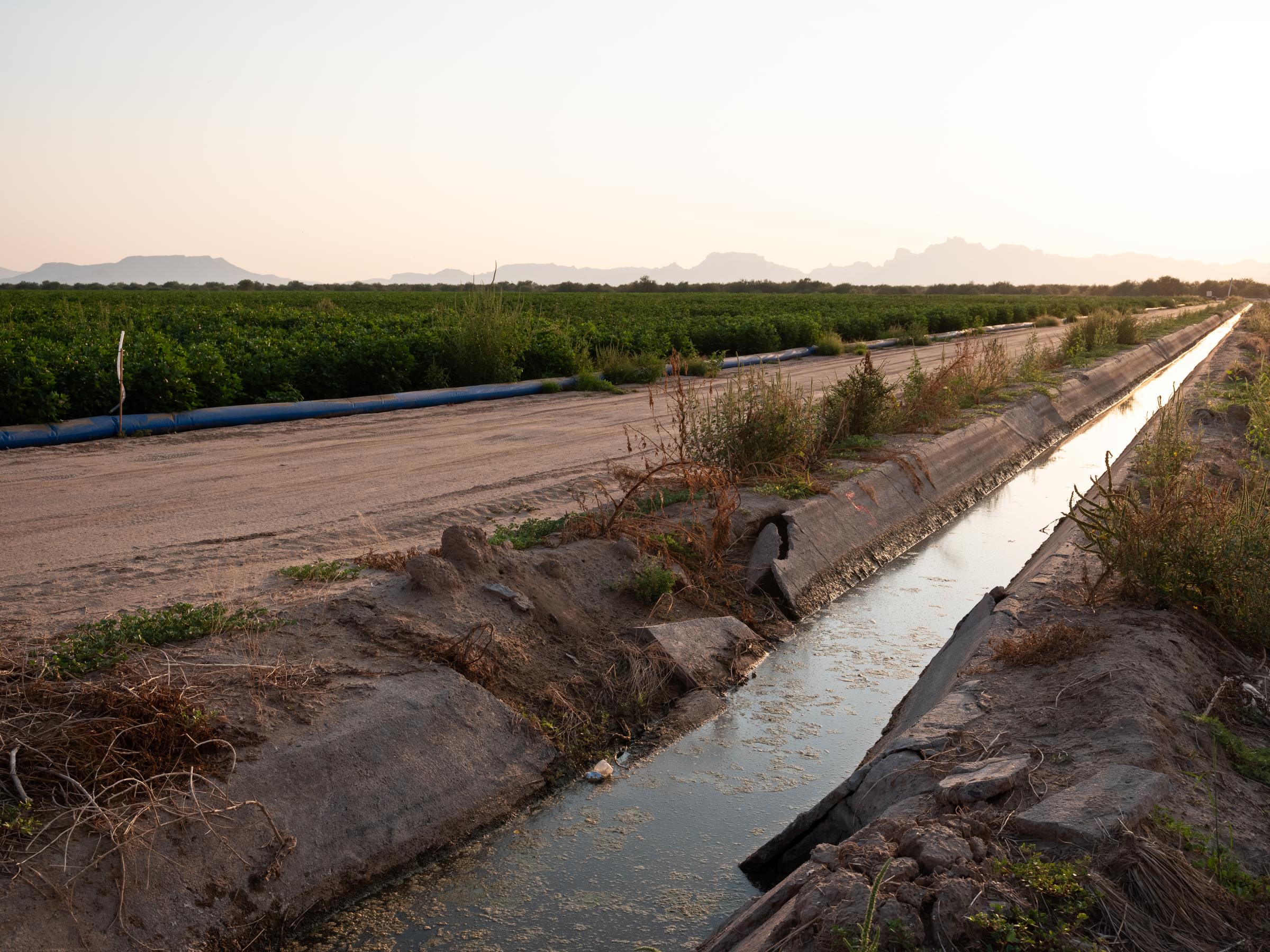 Irrigation Innovation - Bloomberg Businessweek - A canal with a flood irrigation system is on the right....