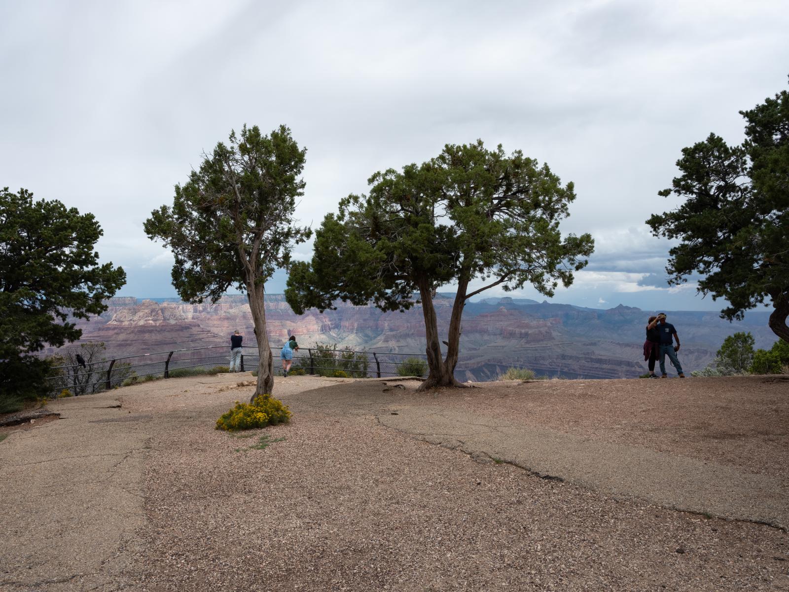 Tourists, Grand Canyon