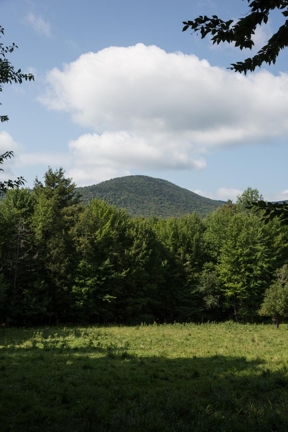 Summer Mountains