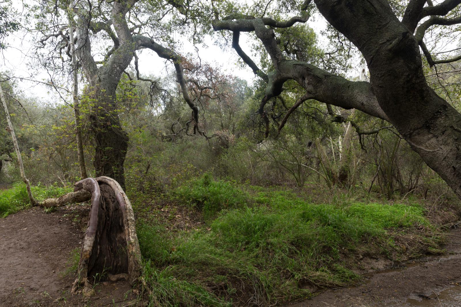 Malibu Hike