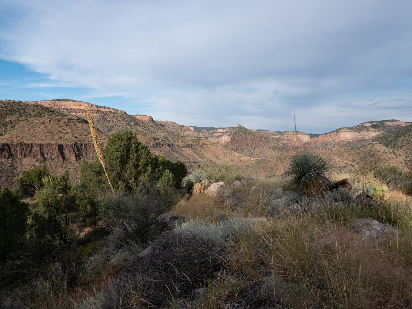 Roadside view, Salt River