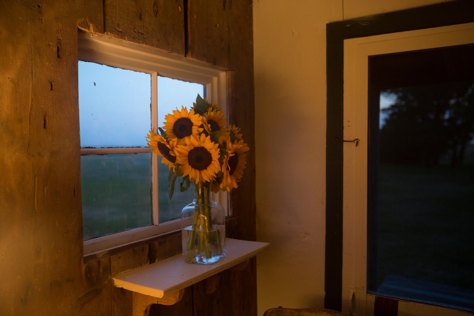 Sunflowers in the Window
