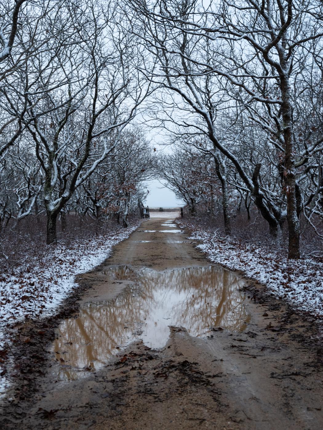 Road to Short Point